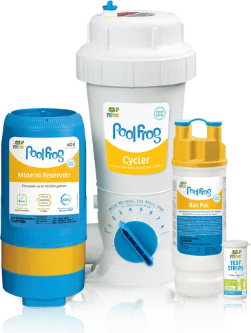 Pool Frog 5400 In-ground Mineral System 01-01-5480